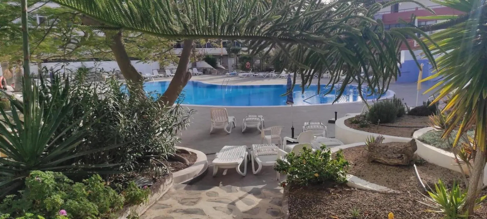 Tenerife Sur 아로나